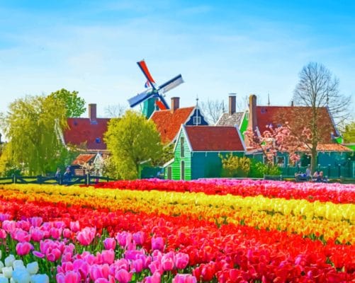 Tulips Field paint by numbers