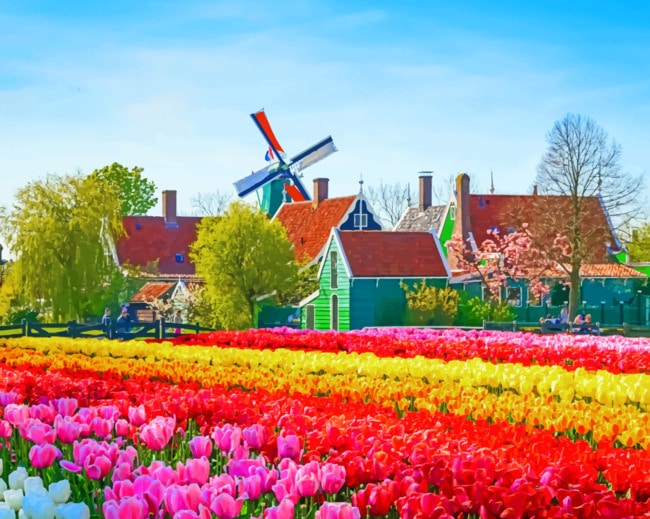 Tulips Field paint by numbers