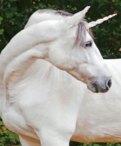 White Horse paint by numbers