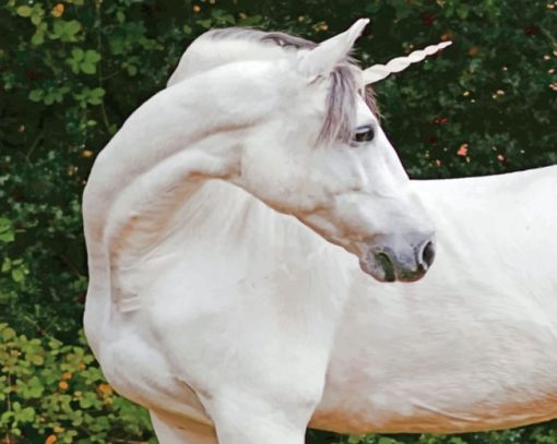 White Horse paint by numbers