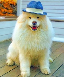 White Puppy With Blue Hat paint by numbers