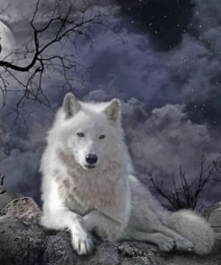 White Wolf At Night paint By numbers