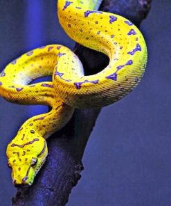 Yellow And Blue Snake paint by numbers