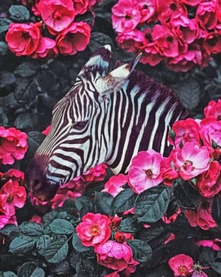 Aesthetic Zebra paint By Numbers