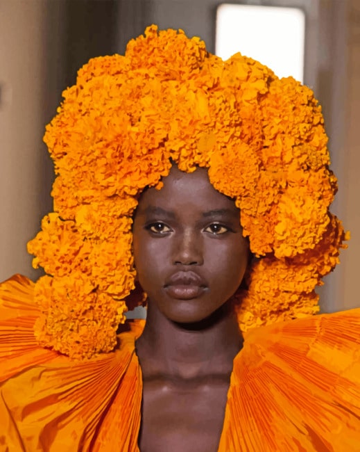 African Model paint by numbers