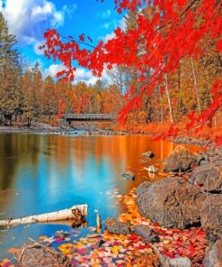 Autumn Forest paint by numbers