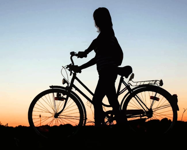 Bicycle Rider Silhouette paint by numbers