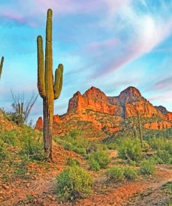 Big Cactus Plants Mountain paint by numbers