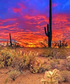 Big Cactus Silhouette paint by numbers