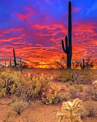 Big Cactus Silhouette paint by numbers