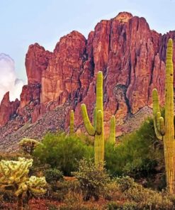 Big Cactus Mountains paint by numbers