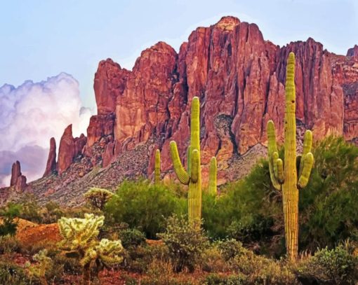 Big Cactus Mountains paint by numbers