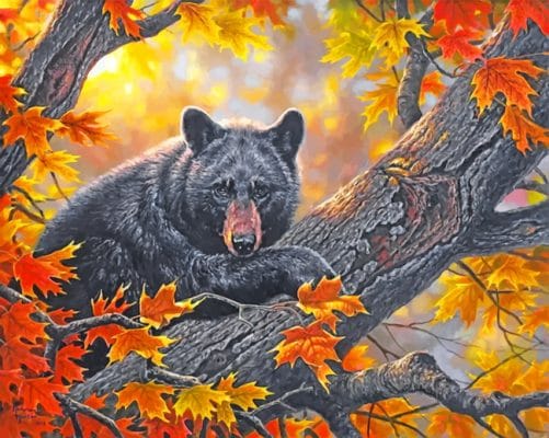 Black Bear On Tree paint by numbers