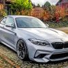 Bmw M2 paint By Numbers