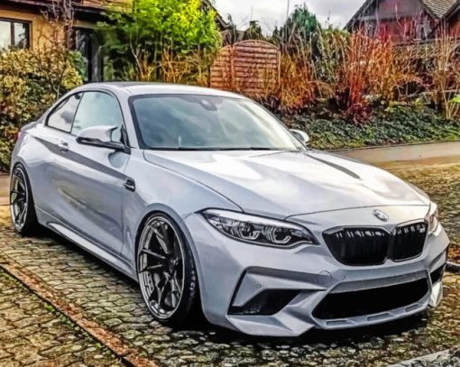 Bmw M2 paint By Numbers