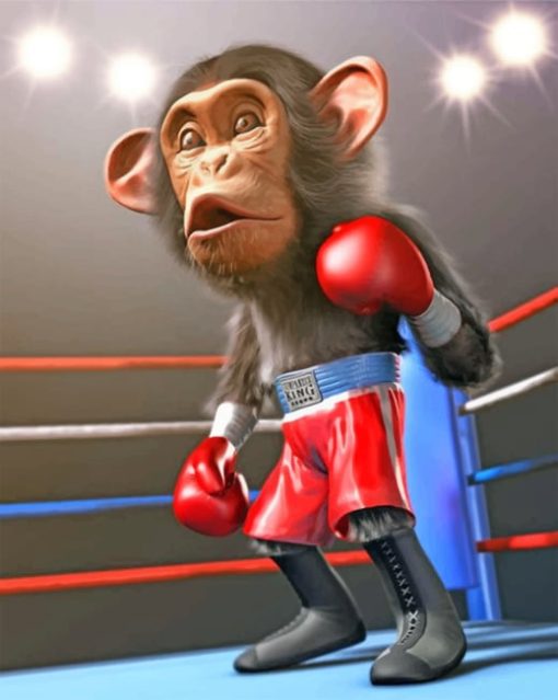 Boxer Monkey paint by numbers