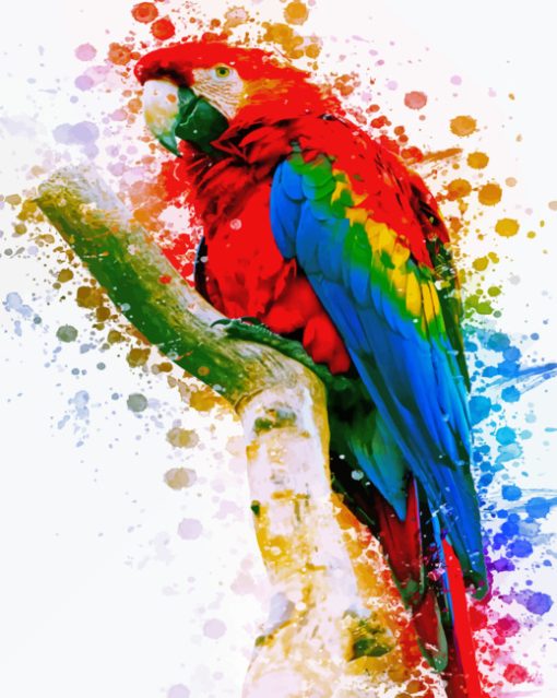 Colorful Parrot paint By Numbers