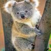 Koala Bear paint by Numbers