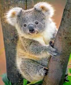 Koala Bear paint by Numbers