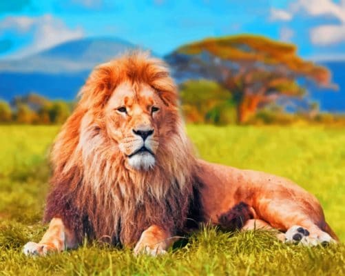 Lion paint By Numbers