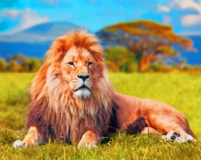 Lion paint By Numbers