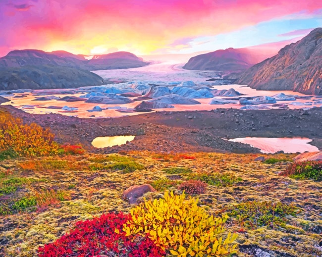 Magellanic subpolar forests paint By Numbers