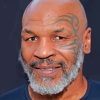 Mike Tyson paint By Numbers