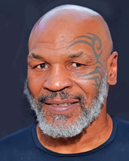 Mike Tyson paint By Numbers