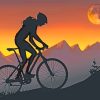 Mountain Biker Silhouette paint by numbers