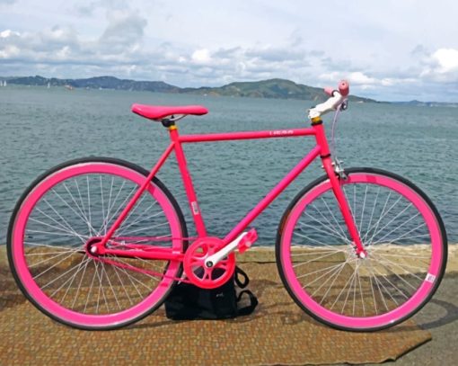 Pink Bicycle paint by numbers