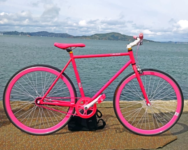 Pink Bicycle paint by numbers