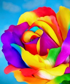 Rainbow Rose paint By Numbers