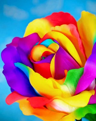 Rainbow Rose paint By Numbers