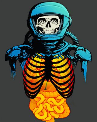 Skull Art paint By Numbers