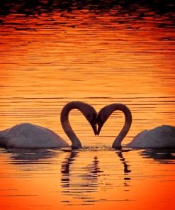 Swans Heart Silhouette paint by numbers