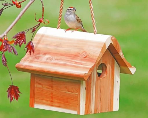 Wooden Birdhouse paint by numbers