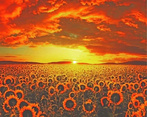 Aesthetic Sunflower paint By Numbers