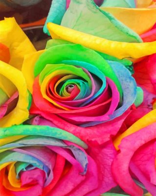 Beautiful Rainbow Roses paint by Numbers
