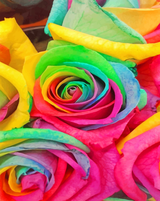 Beautiful Rainbow Roses paint by Numbers