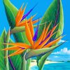 Bird Of Paradise paint by numbers