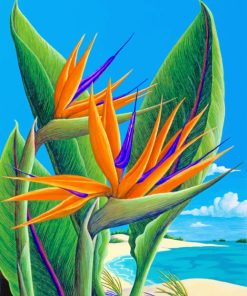 Bird Of Paradise paint by numbers