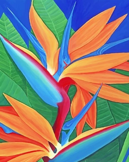 Bird Of Paradise Plant paint by numbers