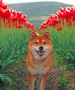 Brown Dog In Tulips Field paint By Numbers