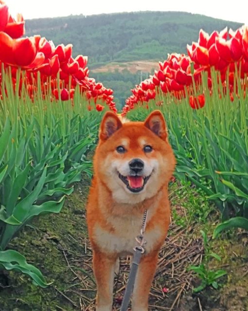 Brown Dog In Tulips Field paint By Numbers