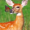 Butterfly On Deer Nose paint By Number