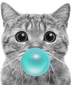 Cat With Bubble Gum paint By Numbers