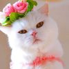 Cat With Flower Crown paint By Numbers