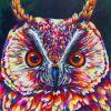 Close Up Owl paint by Numbers