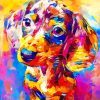 Colorful Dog paint By Numbers