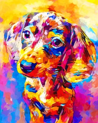 Colorful Dog paint By Numbers